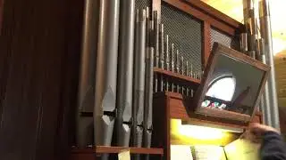 Palm Sunday Hymn Medley