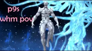 p9s whm pov (first clear)