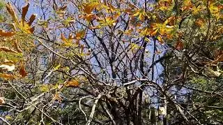 Как, должно быть, обидно, когда вас не могут... 