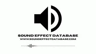 Crickets Ambience (5) Sound Effect