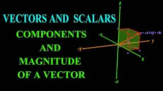 VECTORS AND SCALARS: VECTOR REPRESENTATION, COMPONENTS AND MAGNITUDE OF A VECTOR