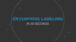 Enterprise Labeling in 30 seconds