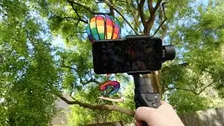 DJI Osmo Mobile Review