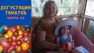 ДЕГУСТАЦИЯ ТОМАТОВ. Часть 2