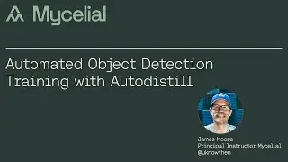 Automated Object Detection Training with Autodistill