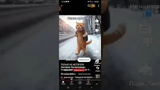 29 декабря 2023 г.