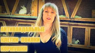 Где купить клетки для кроликов, кормушки и поилки? Антивандальные товары для кроликов.
