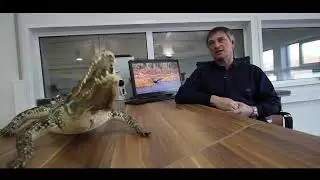 KA HEM jet boats с титрами
