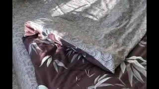 Бамбук
