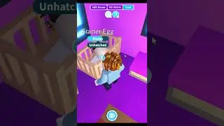 Roblox Adopt Me: Poor To Rich Challenge | Day 1 #shorts