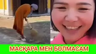 Ырысбала Пысық Отбасы