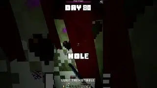 100 Days - [Minecraft Shorts] - Day 80 #minecraft #100days