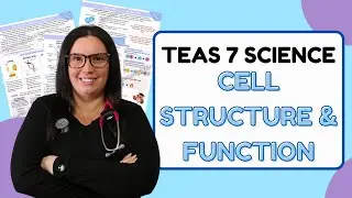 2025 ATI TEAS Science Cell Structure, Function, & Organization Study Guide (with Practice Questions)