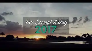 One Second A Day for a Year I 2017