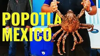 A Hidden Gem - village of Popotla in Rosarito, Mexico