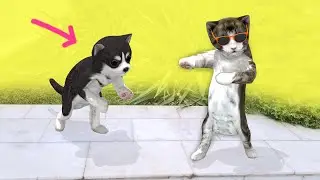 Cat and dog dancing