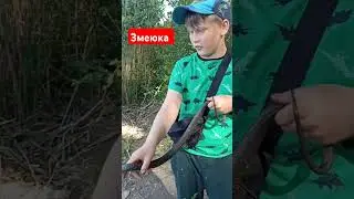 Змеюка 🐍