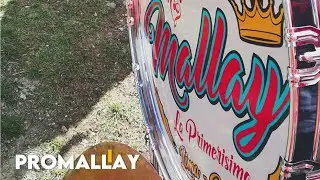 Banda Orquesta Virgen de las Nieves de Mallay | FIESTA DE TINTA 2019