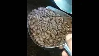 kopi gayo aceh
