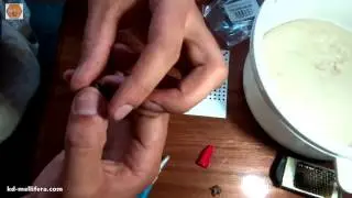 Мечение молодых маток