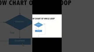 #whileloop #flowchart #clangauge #programming #c #working #example #yshorts #foryou #fypシ #fyp