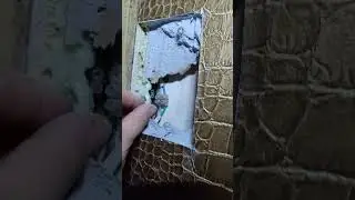 История одного заказа. Эндоскоп выручил.