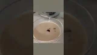 Нежный десерт с ряженки 🍧