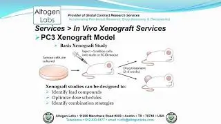 Altogen Labs PC3 Xenograft Service Prostate Cancer