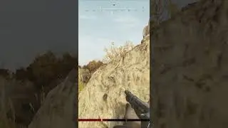 Хорошая! #shorts  #huntshowdown  #игры  #hunt