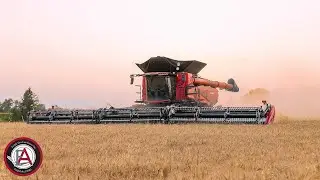 GO BIG! The All New Case IH AF11 Combine