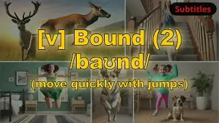 [v] Bound meaning (move quickly with jumps) with 5 examples