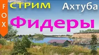 Ахтуба, Фидеры, фарм. Русская рыбалка 4