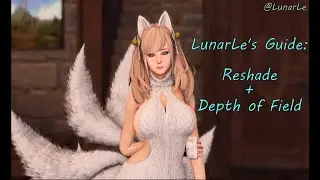 Vindictus Reshade guide + ADOF guide - By LunarLe