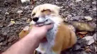Вати ти ти оп по!!!