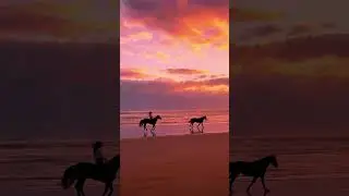Wonderful