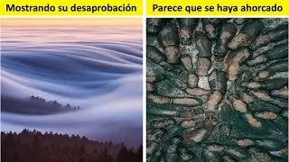 30 De Las Fotos Más Increíbles Del Concurso De Fotografía De National Geographic 2018