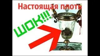 Чудо в Ланчано - Православный взгляд
