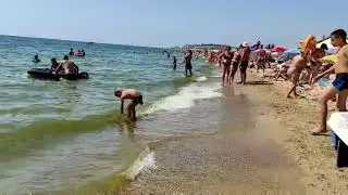 Грибовка Одесская область. Зелёное море.