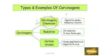 L.C. Biology Cancer
