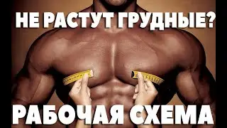 Как накачать грудь? Не растут грудные?