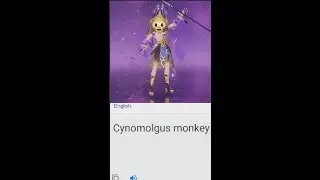 Genshin Names vs. Google Translate 