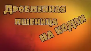 Дробленная пшеница на кодзи/ Мой первый опыт