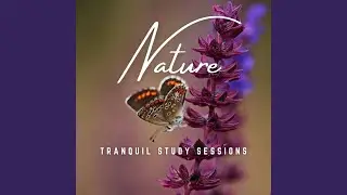 Nature's Study Serenade
