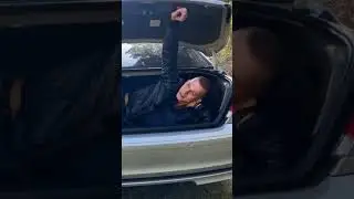 BMW 7 Arm Fracture Test  