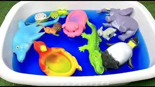Learn Animals in English Pig Lion Elephant Penguin Chicken Educational Cartoons for Kids