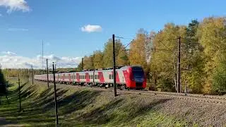 Train Lastochka Moskva-Minsk