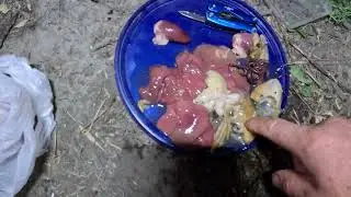 Наживка на сома