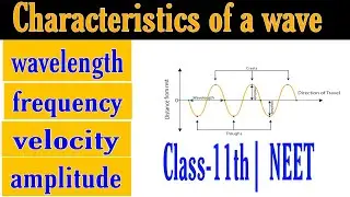 Characteristics of a wave|Wavelength|amplitude| velocity|Frequency|wave number | class11th and NEET