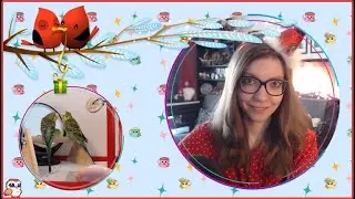 ПредНовогодний стрим! Чаёк, укулелька и сказки☕