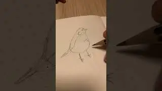 How to Draw a Ruby with Easy lines! 